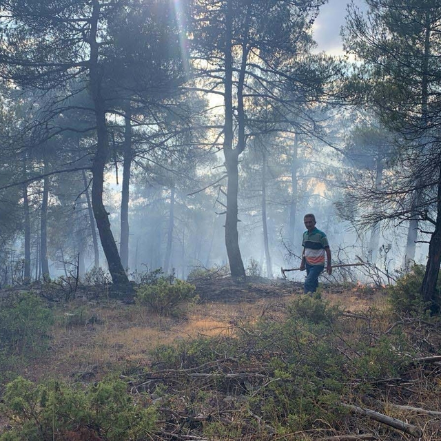 Yıldımı düşen ormanda çıkan yangında 1 hektar alan zarar gördü