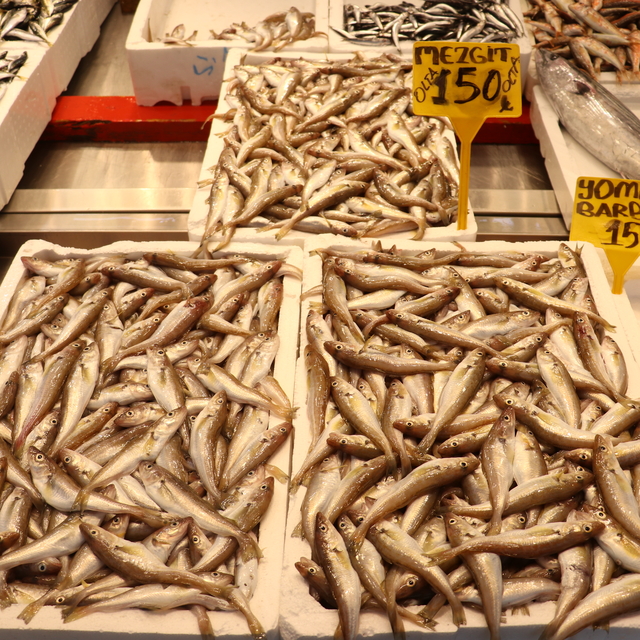 Trabzon'da balıkçı tezgahlarını mezgit ve istavrit süslüyor