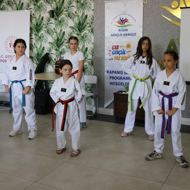 Aydın'da "GSB Gençlik Yaz Kulübü" kapanış şenliği düzenlendi