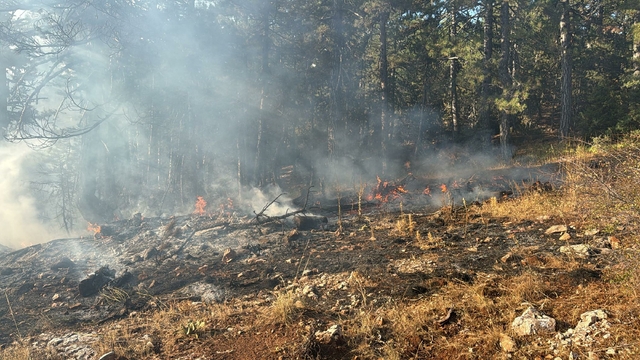 Manisa'da orman yangını; 2 saatte söndürüldü