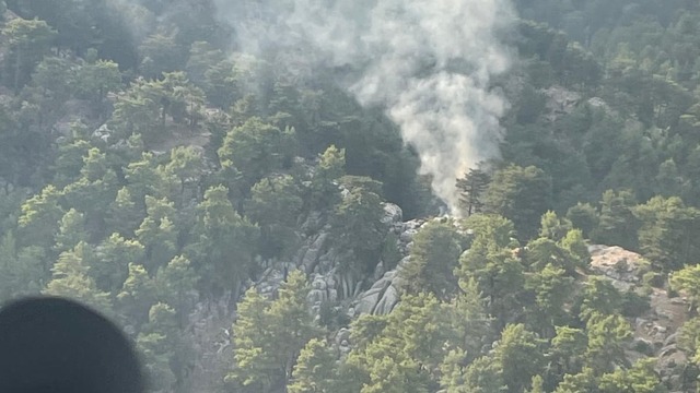 Manavgat'ta çıkan orman yangını kontrol altına alındı