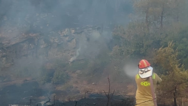 Adana'da çıkan orman yangını kontrol altına alındı
