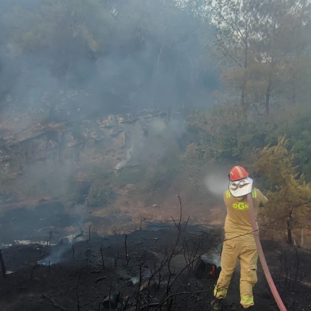 Adana'da çıkan orman yangını kontrol altına alındı