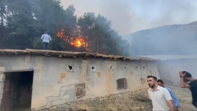 Hakkari'de çıkan orman yangını kontrol altına alındı