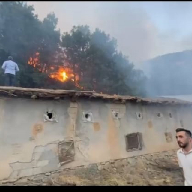 Hakkari'de çıkan orman yangını kontrol altına alındı