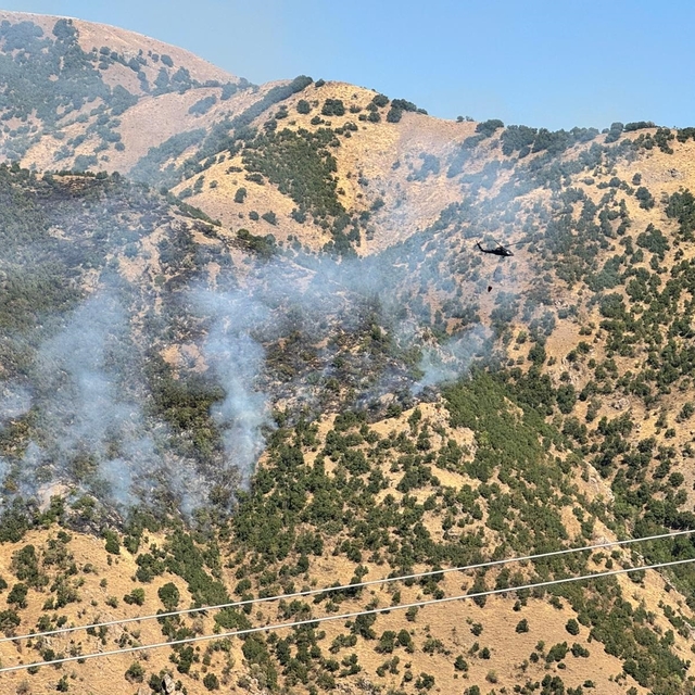 Hakkari'de çıkan orman yangını kontrol altına alındı (2)