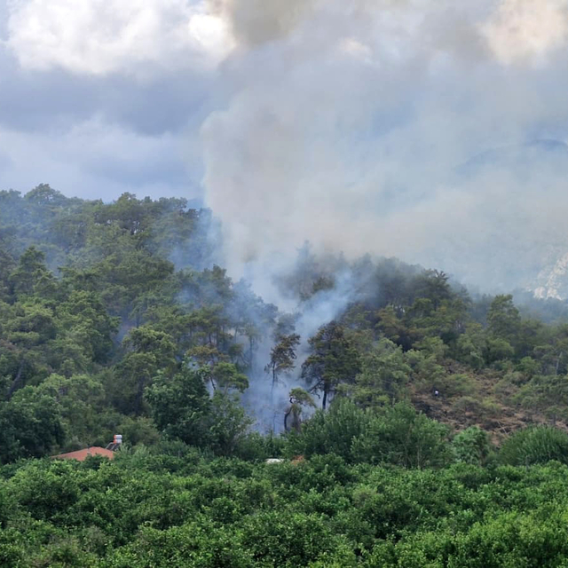 Antalya'da orman yangını