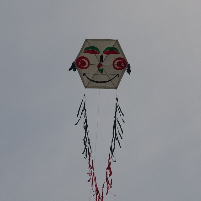 Bursa'da Filistin'e destek için 15 metrelik uçurtma uçurdular