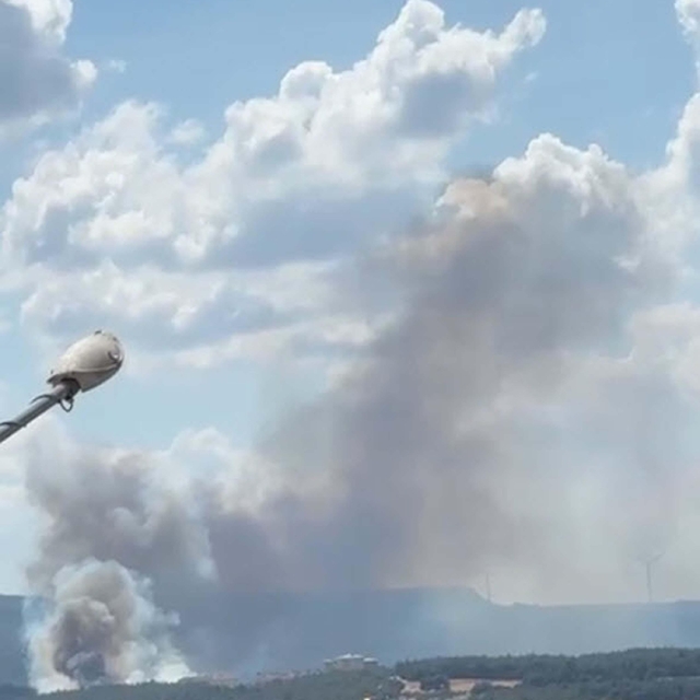 Çanakkale'de orman yangını