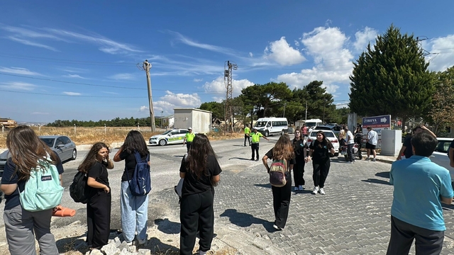 Çanakkale'de orman yangını (2)