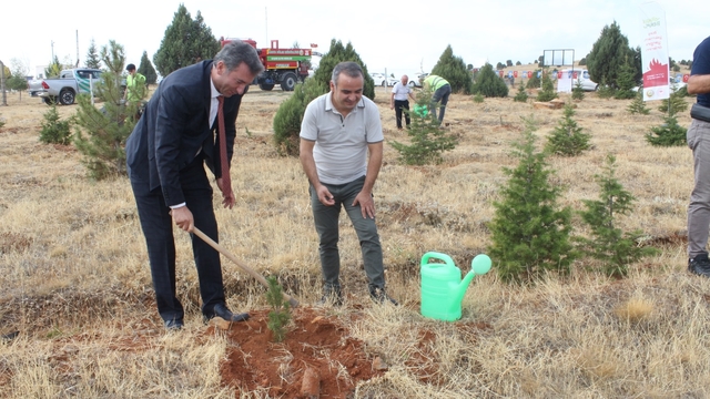 Beyşehir'den kısa kısa