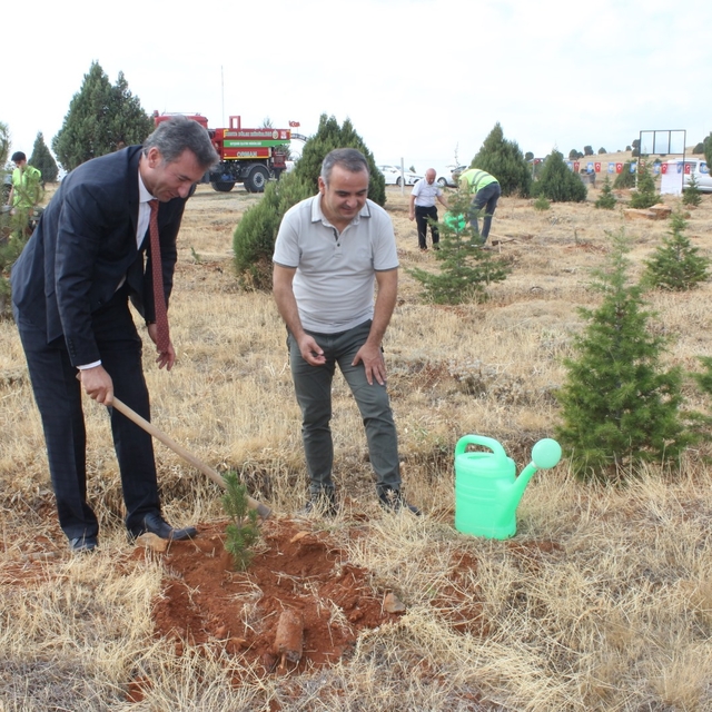 Beyşehir'den kısa kısa