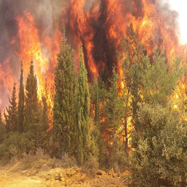 Çanakkale'de orman yangınlarına karşı yeni tedbirler alındı