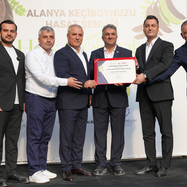 Alanya'da keçiboynuzu hasat şenliği yapıldı