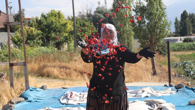 Coğrafi işaretli Cırgalan biberinde kurutma mesaisi başladı