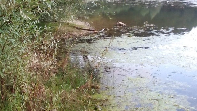 Köylüler, göldeki çöpleri temizledi