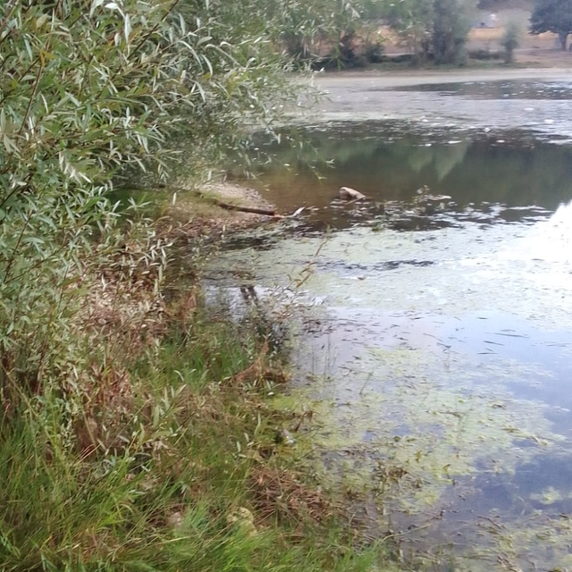 Köylüler, göldeki çöpleri temizledi