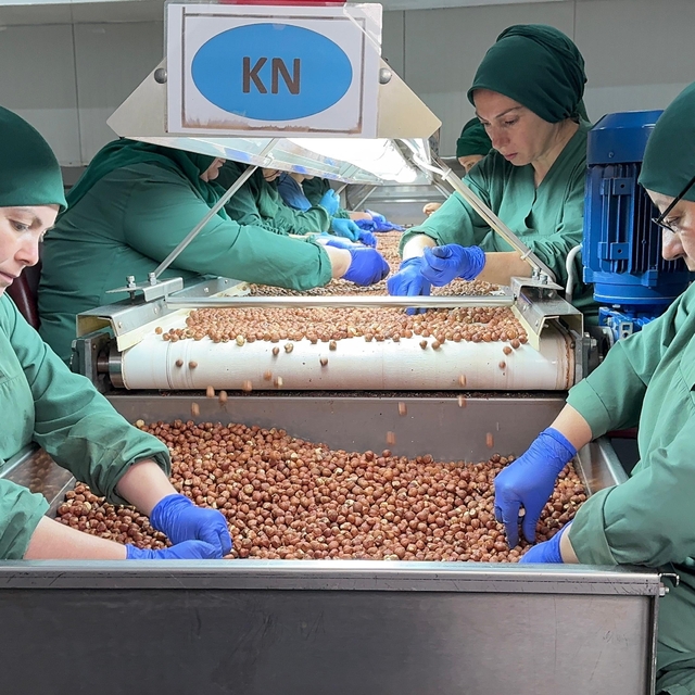 Türk fındığı geçen sezon 124 ülkede alıcı buldu