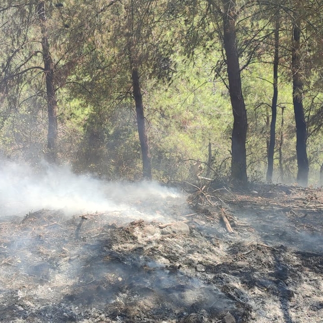 Osmaniye'de çıkan örtü yangını söndürüldü