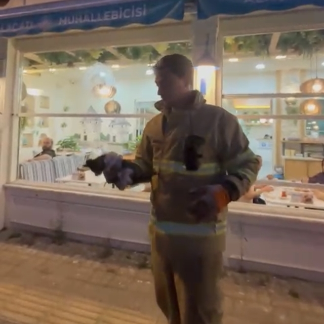 Otomobilin motoruna sıkışan yavru kedi kurtarıldı