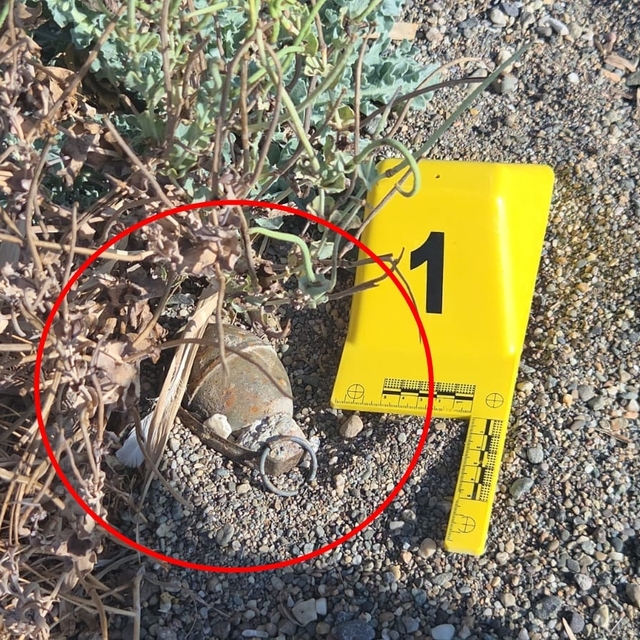 İznik Gölü sahilinde bulunan el bombası imha edildi