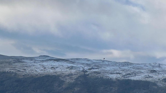 Ardahan'ın yükseklerindeki yaylalar, dolu nedeniyle beyaza büründü