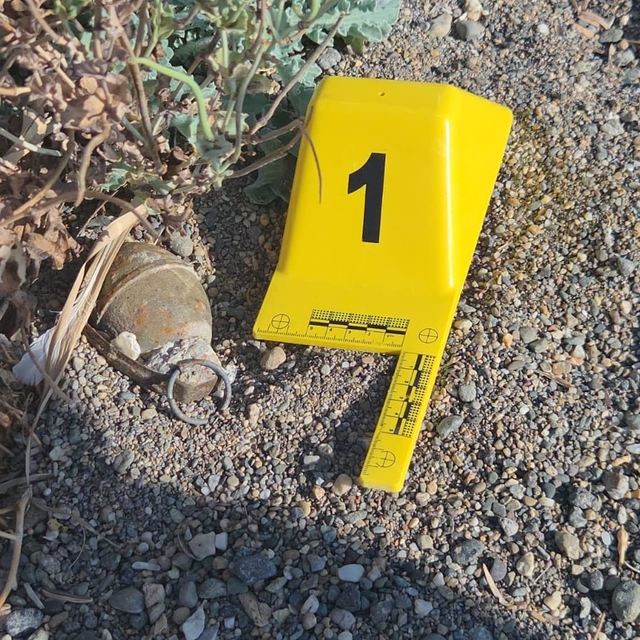 İznik Gölü sahilinde bulunan el bombası imha edildi