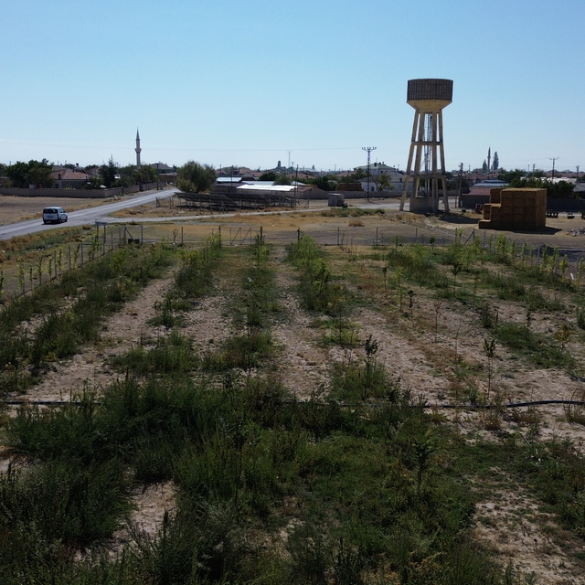 Aksaray'da köye ormanlık alan kazandıran imam hatip, öğrencilerle fidan dik...