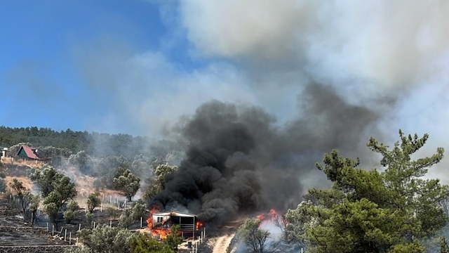 İzmir'de tarım arazisinden ormanlık alana sıçrayan yangın kontrol altına alındı