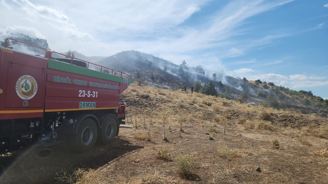 Bingöl'de çıkan örtü yangını söndürüldü