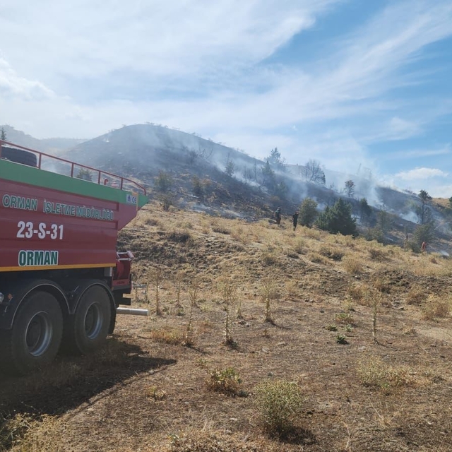 Bingöl'de çıkan örtü yangını söndürüldü