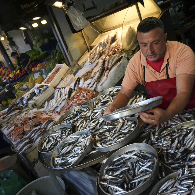 Ege'de balıkçılar sezona bereketli başladı