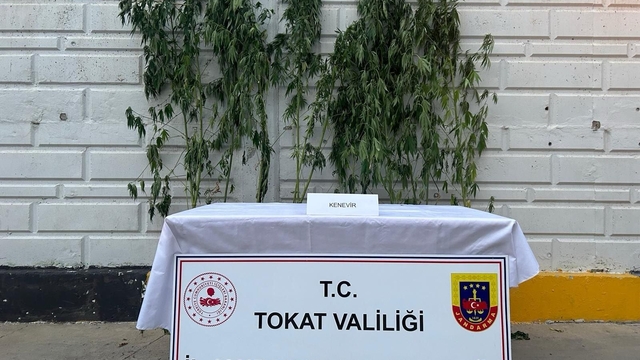 Tokat'ta uyuşturucu operasyonunda 1 kişi gözaltına alındı