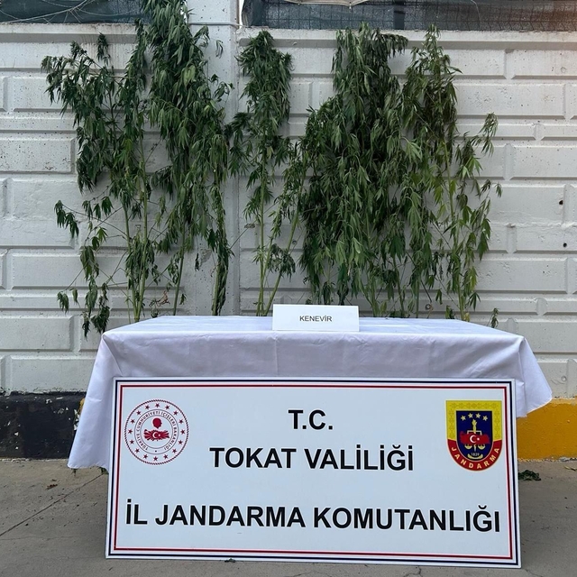 Tokat'ta uyuşturucu operasyonunda 1 kişi gözaltına alındı
