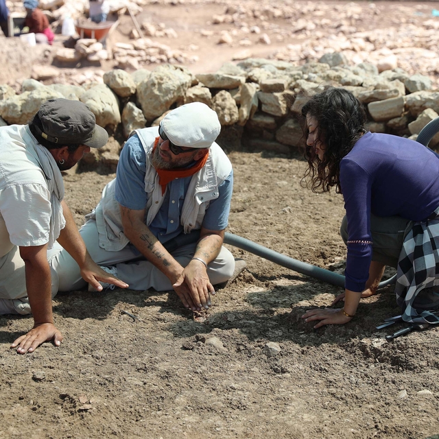 Çayönü Tepesi'nde 9 bin 500 yıllık 'kamusal yapı' gün yüzüne çıkarıldı