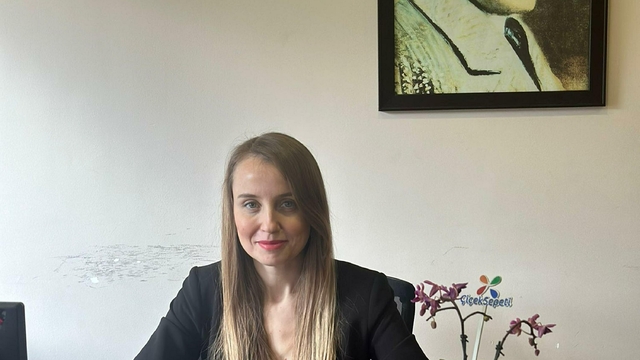 'Sanal dünyada şiddet çözüm olarak sunuluyor'