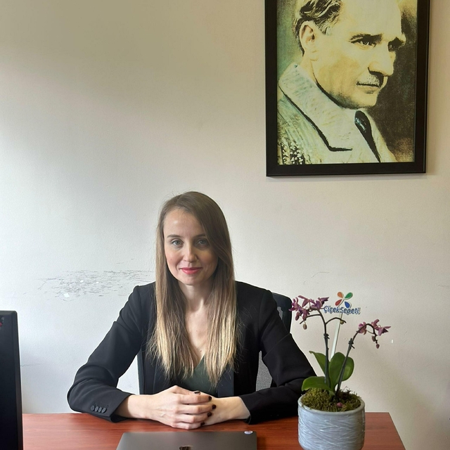 'Sanal dünyada şiddet çözüm olarak sunuluyor'