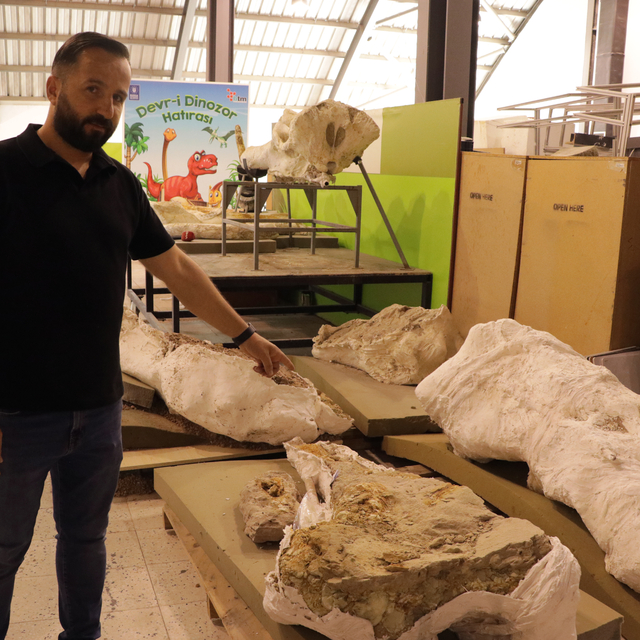 Kayseri'de bu yılki fosil kazılarında 7,7 milyon yıllık 3 fil kafatası bulu...