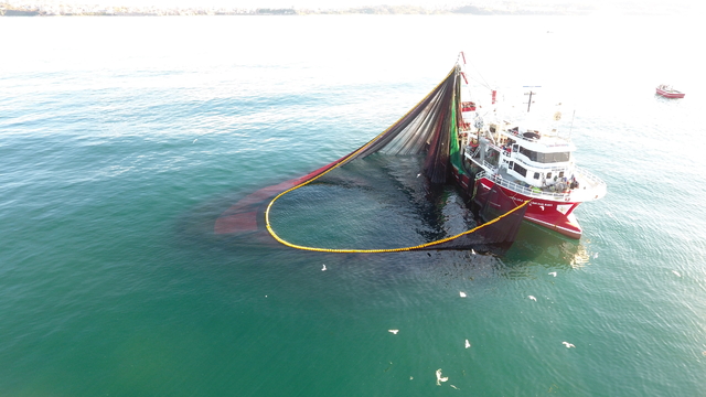 Sinop'ta balıkçılar yeni sezondan umutlu