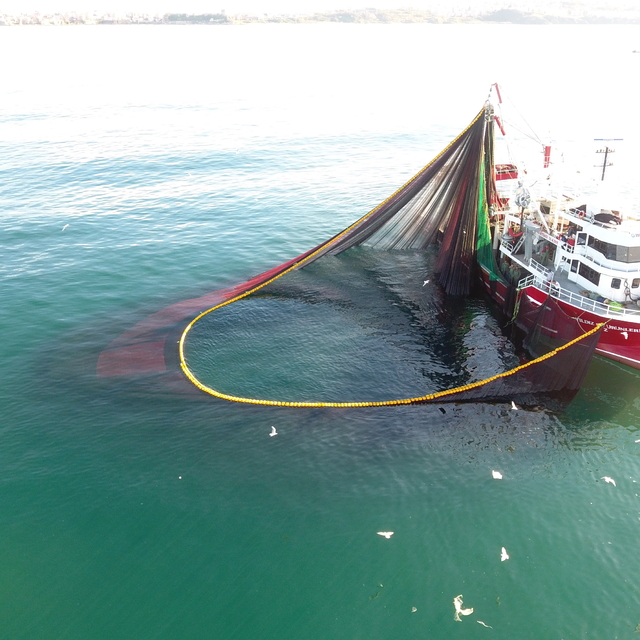Sinop'ta balıkçılar yeni sezondan umutlu