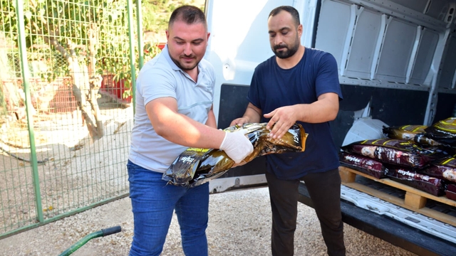 Kumluca'da sporcular kazandıkları ödülü barınaktaki hayvanlara mama alınması için bağışladı