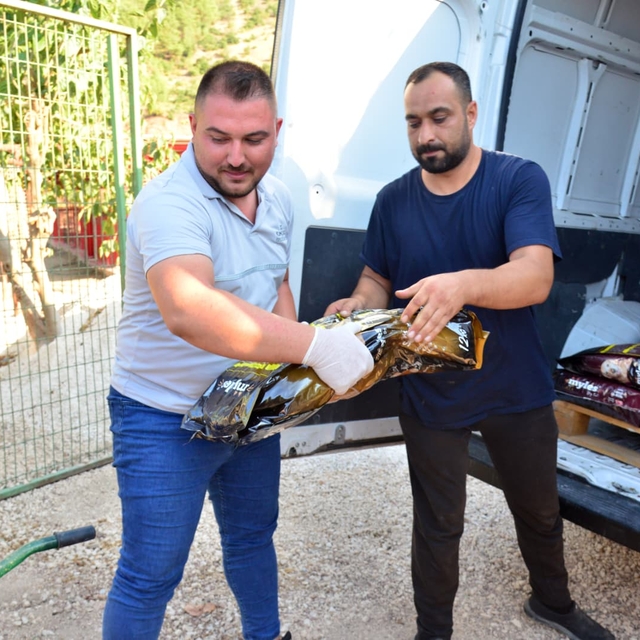 Kumluca'da sporcular kazandıkları ödülü barınaktaki hayvanlara mama alınmas...