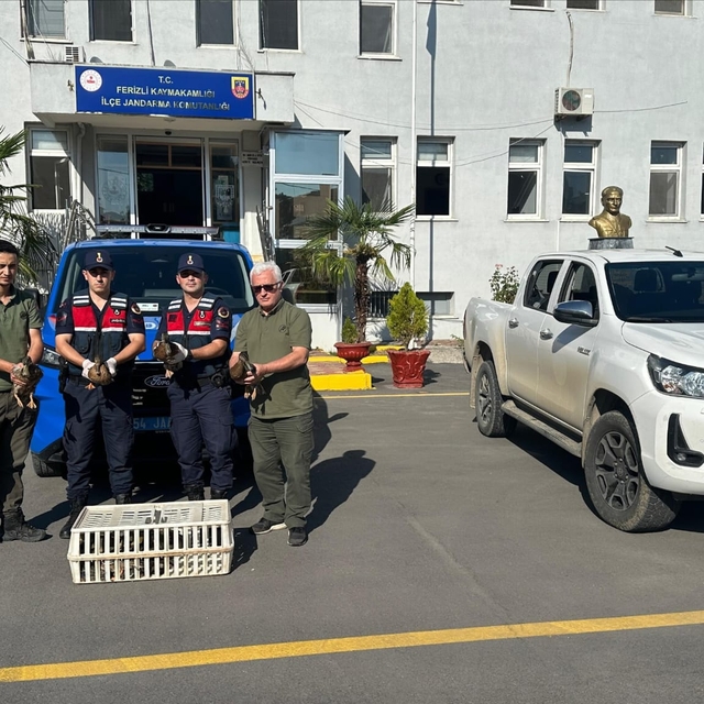 Sakarya'da avda kullanılan yaban ördekleri koruma altına alındı