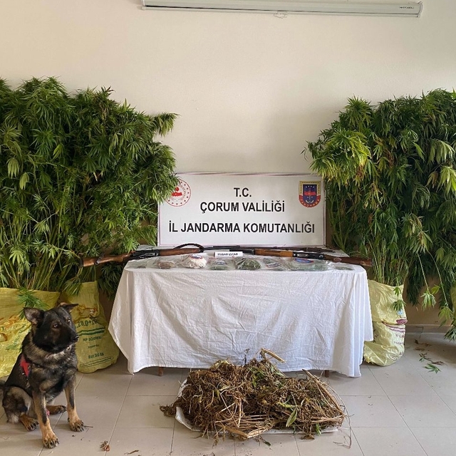 Çorum'da evinde uyuşturucu ele geçirilen zanlı tutuklandı