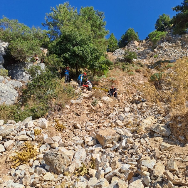 Aydın'da uçurumdan düşen arıcı yaralandı