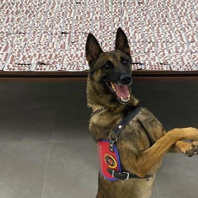 Denizli'de valizinde uyuşturucu ele geçirilen zanlı tutuklandı