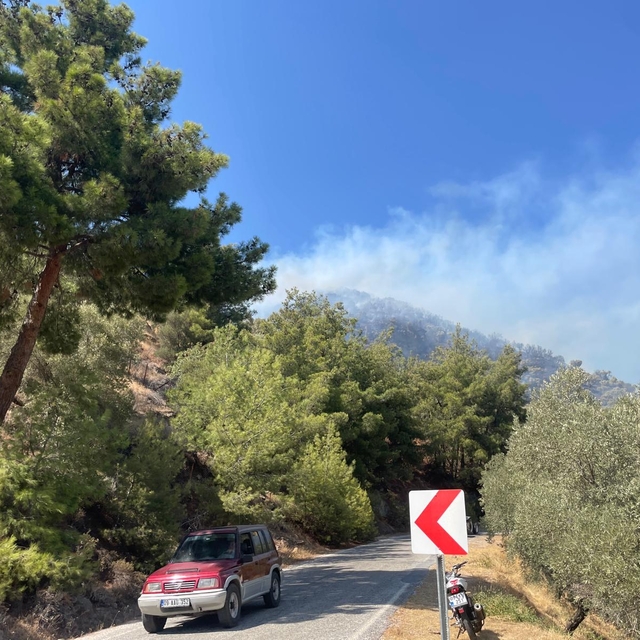 Aydın'da zeytinlik alanda çıkan yangına müdahale ediliyor