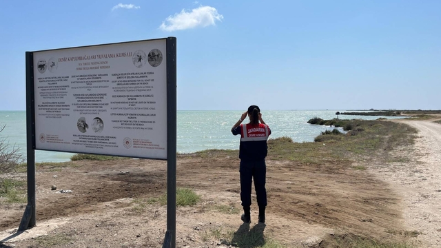 Mersin'de jandarma doğada denetimlerde bulundu