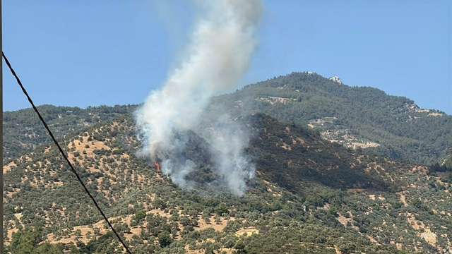 Aydın'da tarım arazisinde yangın