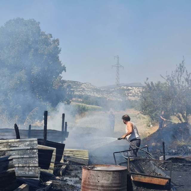 Manisa'da ahırda çıkan yangında 21 koyun öldü